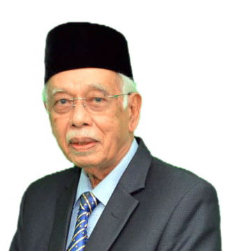 Y.M. Prof. Dato' Dr. Haji Tengku Mahmud Bin Mansor, Presiden PEYATIM
